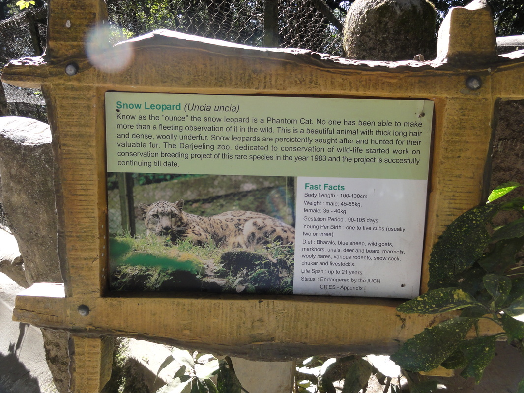 Category: The Darjeeling Zoo - Joyful Travelpie